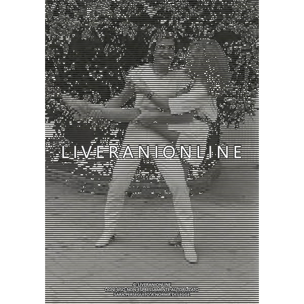 NEG-RETROSPETTIVA GINO SANTERCOLE CON MELU\' VALENTE NELLA FOTO GINO SANTERCOLE CON MELU\' VALENTE A MILANO NELL\'ANNO 1981 ALLA FIERA CAMPIONARIA AG ALDO LIVERANI SAS