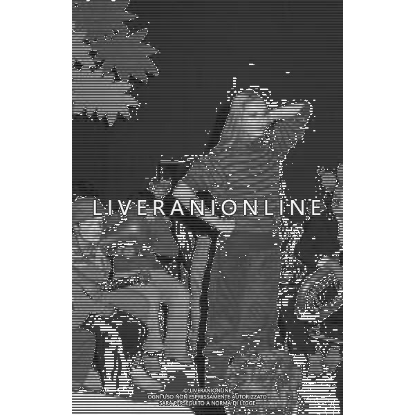 Neg- AMBRA E PARIDE ORFEI DURANTE LA REGISTRAZIONE DI UNA TRASMISSIONE TELEVISIVA A MILANO IL 31.12.1982 AG ALDO LIVERANI SAS