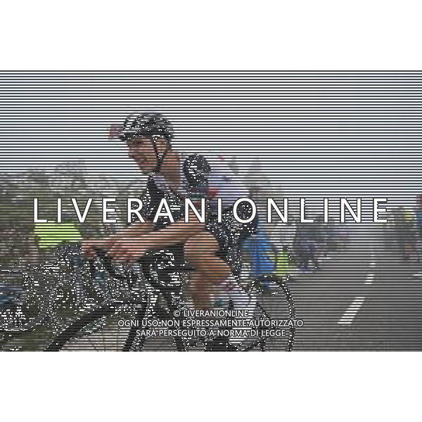 13-09-2023 Vuelta A Espana; Tappa 17 Ribadesella - Alto De L\'angliru; 2023, Uae Emirates; Almeida, Joao; Alto De L\'angliru; ©SIROTTI/AGENZIA ALDO LIVERANI SAS
