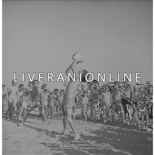 Neg- RETROSPETTIVA ALDO REGGIANI ATTORE NELLA FOTO AL MARE SULLA SPIAGGIA DI RICCIONE NELL\'ANNO 1969 AG ALDO LIVERANI SAS