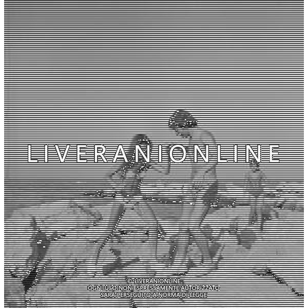 Neg- RETROSPETTIVA ALDO REGGIANI ATTORE NELLA FOTO AL MARE SULLA SPIAGGIA DI RICCIONE NELL\'ANNO 1969 AG ALDO LIVERANI SAS