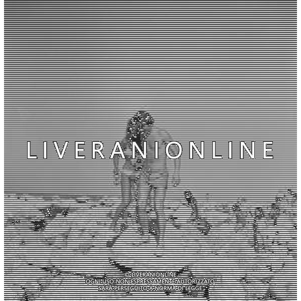 Neg- RETROSPETTIVA ALDO REGGIANI ATTORE NELLA FOTO AL MARE SULLA SPIAGGIA DI RICCIONE NELL\'ANNO 1969 AG ALDO LIVERANI SAS
