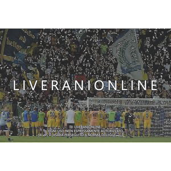 Frosinone vs Fiorentina - Campionato Serie A TIM - 6 giornata - Stadio B.Stirpe - Frosinone 28-09-2023 nella foto Frosinone festeggia sotto la curva ©Federico Gaetano/AGENZIA ALDO LIVERANI SAS
