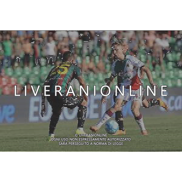 Ternana vs Reggiana - Campionato Serie B - 8 Giornata - Stadio L.Liberati - Terni 30-09-2023 nella foto Nardi e Labojko ©Federico Gaetano/AGENZIA ALDO LIVERANI SAS