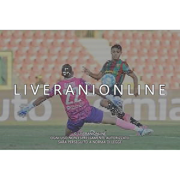 Ternana vs Reggiana - Campionato Serie B - 8 Giornata - Stadio L.Liberati - Terni 30-09-2023 nella foto Gol Di Stefano ©Federico Gaetano/AGENZIA ALDO LIVERANI SAS