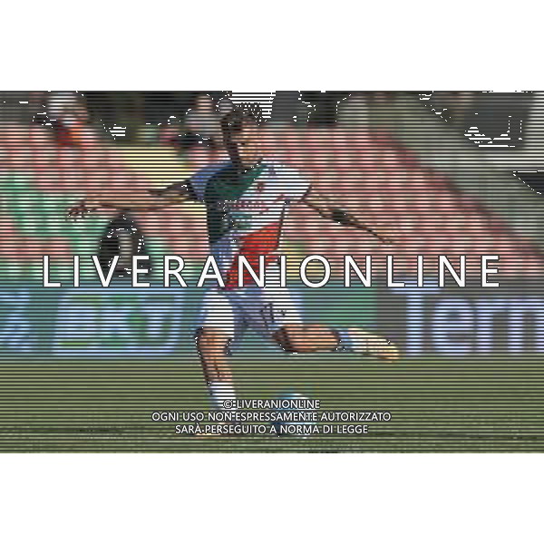 Ternana vs Reggiana - Campionato Serie B - 8 Giornata - Stadio L.Liberati - Terni 30-09-2023 nella foto Elvis Kabashi FOTO FEDERICO GAETANO-AG ALDO LIVERANI SAS