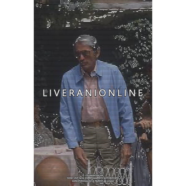 DIAP-RETROSPETTIVA GREGORY PECK ATTORE NELLA FOTO GREGORY PECK A VENEZIA NELL\'ANNO 1983 AG ALDO LIVERANI SAS 