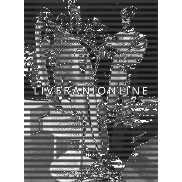Neg - RETROSPETTIVA ILONA STALLER \'CICCIOLINA\' ATTRICE, PORNO STAR NELLA FOTO NEL PROGRAMMA TELEVISIVO DI ENZO TRAPANI \'C\'ERA DUE VOLTE\' NEL 1980 AG ALDO LIVERANI SAS