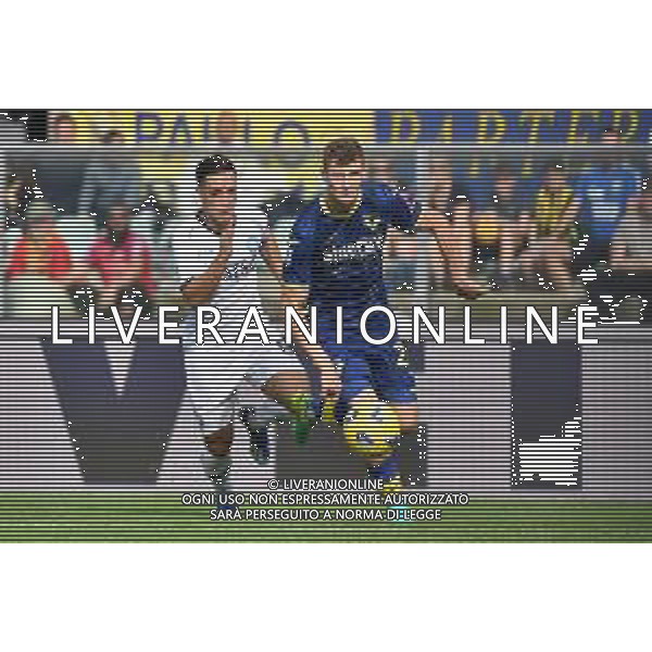 TVRG Hellas Verona vs Napoli nella foto Giacomo Raspadori (Napoli) e Pawel Dawidowicz (Hellas Verona) Verona 21-10-2023 Stadio Marcantonio Bentegodi Campionato Serie A TIM - 9a giornata foto Roberto Garavaglia/ag. Aldo Liverani sas