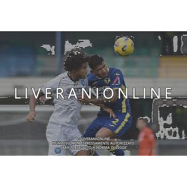 TVRG Hellas Verona vs Napoli nella foto Jens Cajuste (Napoli) e Bruno Amione (Hellas Verona) Verona 21-10-2023 Stadio Marcantonio Bentegodi Campionato Serie A TIM - 9a giornata foto Roberto Garavaglia/ag. Aldo Liverani sas