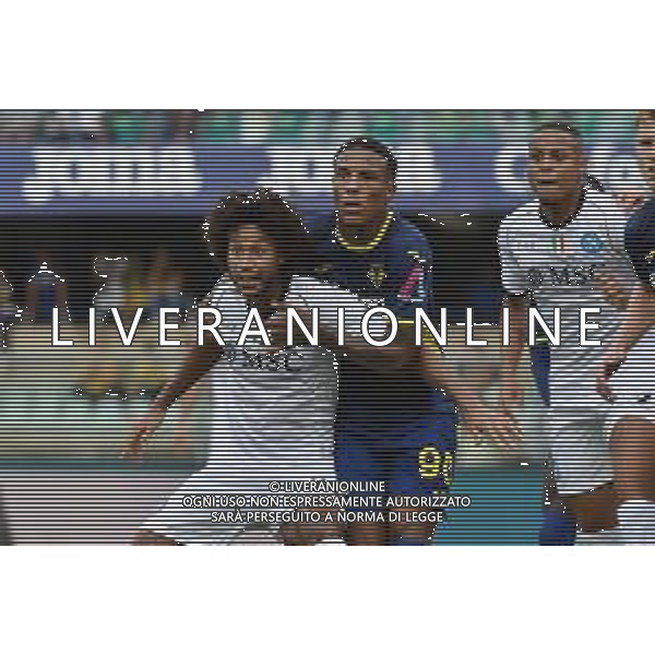TVRG Hellas Verona vs Napoli nella foto Jens Cajuste (Napoli) e Michael Folorunsho (Hellas Verona) Verona 21-10-2023 Stadio Marcantonio Bentegodi Campionato Serie A TIM - 9a giornata foto Roberto Garavaglia/ag. Aldo Liverani sas