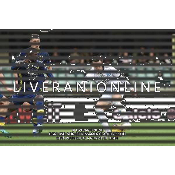 TVRG Hellas Verona vs Napoli nella foto Piotr Zielinski (Napoli) Verona 21-10-2023 Stadio Marcantonio Bentegodi Campionato Serie A TIM - 9a giornata foto Roberto Garavaglia/ag. Aldo Liverani sas