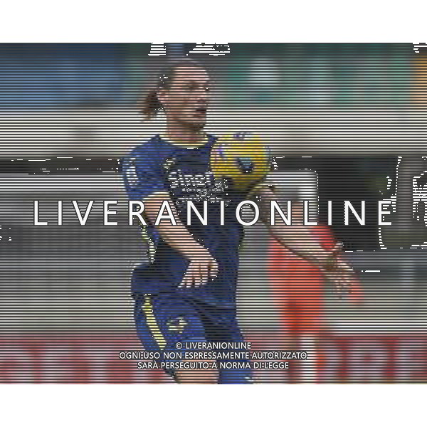 TVRG Hellas Verona vs Napoli nella foto Milan Djuric (Hellas Verona) Verona 21-10-2023 Stadio Marcantonio Bentegodi Campionato Serie A TIM - 9a giornata foto Roberto Garavaglia/ag. Aldo Liverani sas