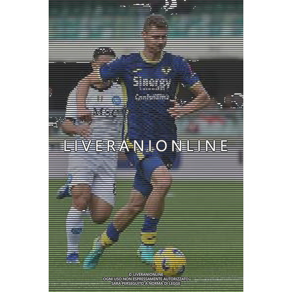 TVRG Hellas Verona vs Napoli nella foto Pawel Dawidowicz (Hellas Verona) Verona 21-10-2023 Stadio Marcantonio Bentegodi Campionato Serie A TIM - 9a giornata foto Roberto Garavaglia/ag. Aldo Liverani sas