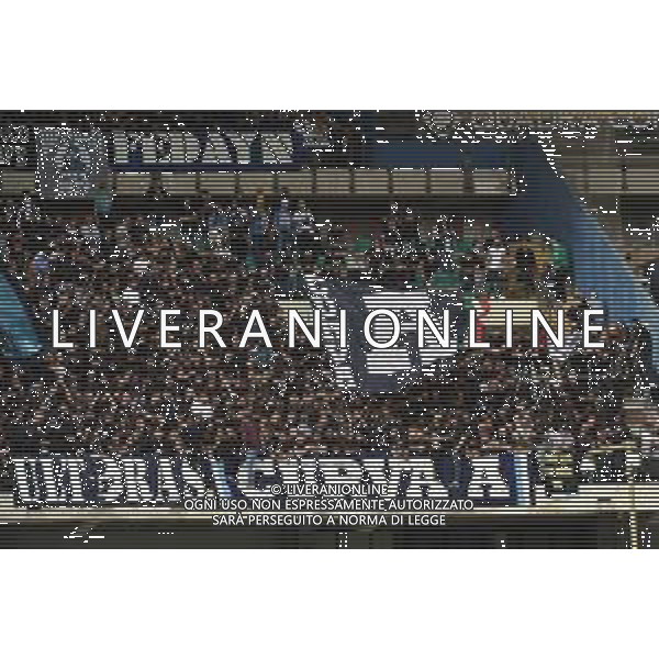 TVRG Hellas Verona vs Napoli nella foto tifosi Napoli Verona 21-10-2023 Stadio Marcantonio Bentegodi Campionato Serie A TIM - 9a giornata foto Roberto Garavaglia/ag. Aldo Liverani sas
