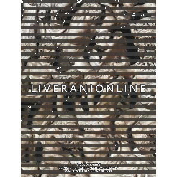 TOSCANA CIITA\' PISA-particolare dello scomparto del giudizio universale - i reprobi AG ALDO LIVERANI SAS
