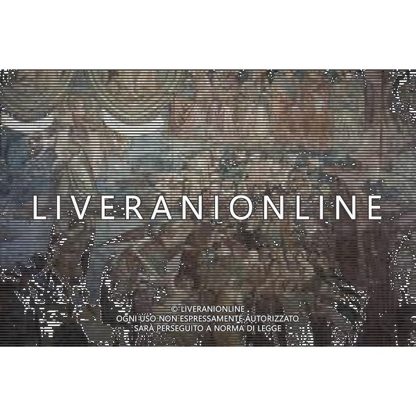 TOSCANA CIITA\' PISA-camposanto, il giudizio universale A. Orcagna AG ALDO LIVERANI SAS