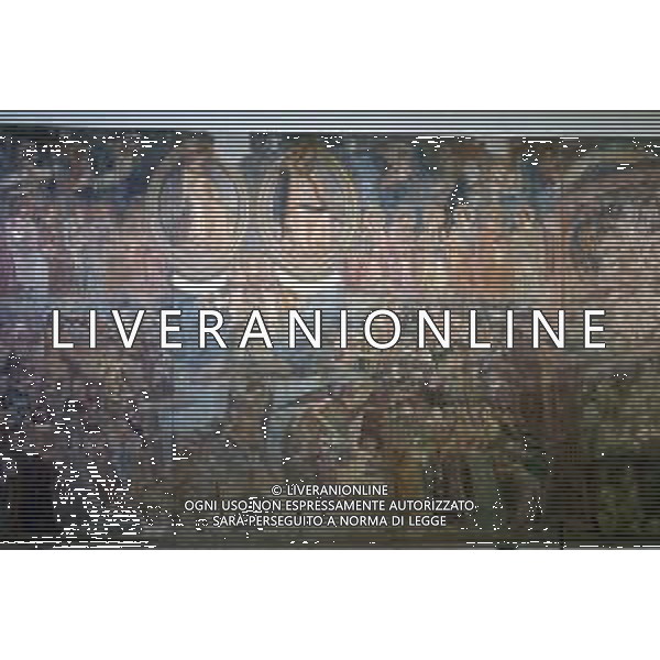 TOSCANA CIITA\' PISA-camposanto, il giudizio universale A. Orcagna AG ALDO LIVERANI SAS