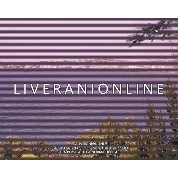 DIAP- TOSCANA- PORTO FERRAIO AG ALDO LIVERANI SAS