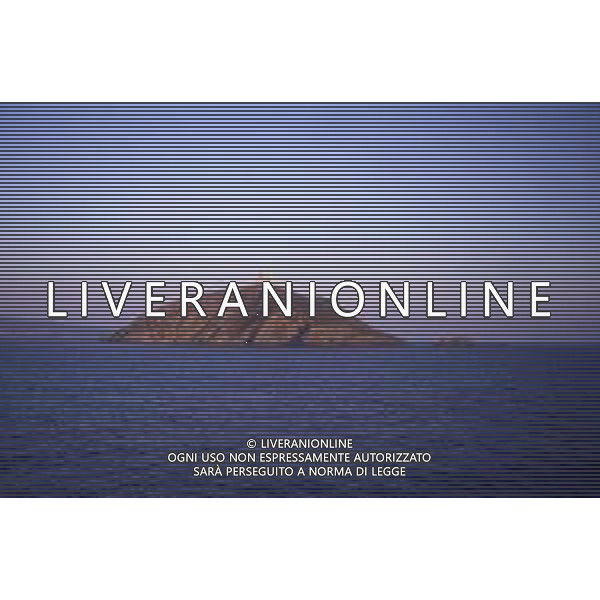 DIAP-TOSCANA- ISOLA D\'ELBA-ISOLOTO DEI TOPI AG ALDO LIVERANI SAS
