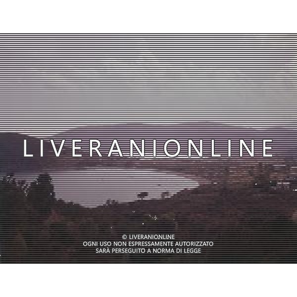 DIAP-TOSCANA-ISOLA D\'ELBA-LACONA AG ALDO LIVERANI SAS
