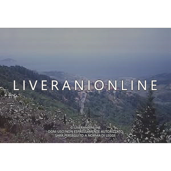 DIAP-TOSCANA-ISOLA D\'ELBA-MARCIANA MARINA-POGGIO AG ALDO LIVERANI SAS 