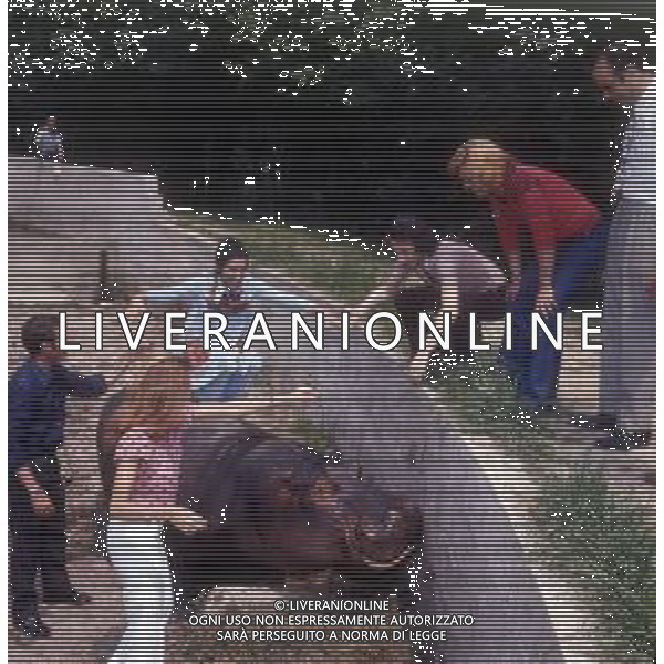 COL-RETROSPETTIVA COMPLESSO MUSICALE RICCHI E POVERI NELLA FOTO ANGELO SOTGIU -MARINA OCCHIENA-ANGELA BRAMBATI E FRANCO GATTI COMPLESSO MUSICALE DEI RICCHI E POVERI NELL\'ANNO 1972 ALLO ZOO SUL GARDA AG ALDO LIVERANI SAS