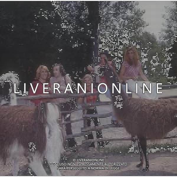 COL-RETROSPETTIVA COMPLESSO MUSICALE RICCHI E POVERI NELLA FOTO ANGELO SOTGIU -MARINA OCCHIENA-ANGELA BRAMBATI E FRANCO GATTI COMPLESSO MUSICALE DEI RICCHI E POVERI NELL\'ANNO 1972 ALLO ZOO SUL GARDA AG ALDO LIVERANI SAS