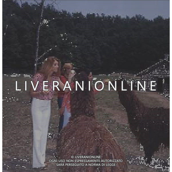 COL-RETROSPETTIVA COMPLESSO MUSICALE RICCHI E POVERI NELLA FOTO ANGELO SOTGIU -MARINA OCCHIENA-ANGELA BRAMBATI E FRANCO GATTI COMPLESSO MUSICALE DEI RICCHI E POVERI NELL\'ANNO 1972 ALLO ZOO SUL GARDA AG ALDO LIVERANI SAS