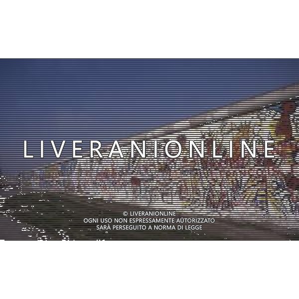 DIAP-GERMANIA EST ANNI 80 NELLA FOTO IL MURO DI BERLINO AG ALDO LIVERANI SAS