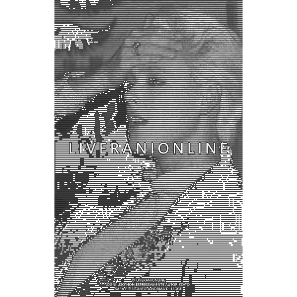 NEG-RETROSPETTIVA BRIGITTE NIELSEN ATTRICE  NELLA FOTO BRIGITTE NIELSEN PRESENTA IL SUO DISCO NELL\'ANNO 1987 A MILANO IN TERRAZZA MARTINI  AG ALDO LIVERANI SAS