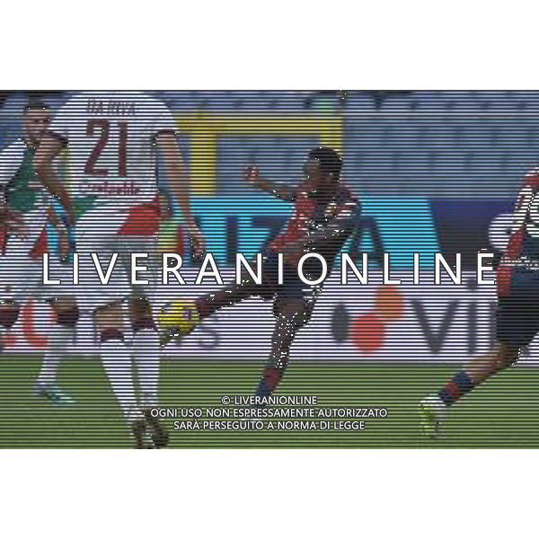 TVRG Genoa vs Reggiana nella foto Ridgeciano Haps (Genoa) occasione da gol Genova 01-11-2023 Stadio Luigi Ferraris - Marassi Coppa Italia Frecciarossa - 16mi di finale foto Roberto Garavaglia/ag. Aldo Liverani sas/AGENZIA ALDO LIVERANI SAS