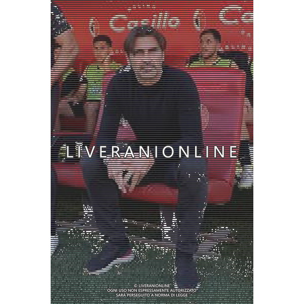 coach William Viali of Ascoli Calcio dduring the Italian Serie B match SSC Bari vs Ascoli Calcio on November 4, 2023 at the San Nicola stadium in Bari, Italy. Photo by Emmanuele Mastrodonato/ag. Aldo Liverani sas