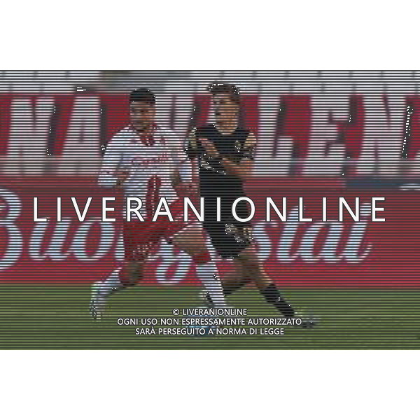 Gennaro Acampora of SSC Bari and Pablo Rodriguez of Ascoli Calcio during the Italian Serie B match SSC Bari vs Ascoli Calcio on November 4, 2023 at the San Nicola stadium in Bari, Italy. Photo by Emmanuele Mastrodonato/ag. Aldo Liverani sas