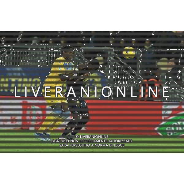 Frosinone vs Empoli - Campionato Serie A TIM - 11 giornata - Stadio B.Stirpe - Frosinone 06-11-2023 nella foto Okoli e Gyasi ©Federico Gaetano / AGENZIA ALDO LIVERANI SAS