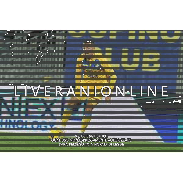 Frosinone vs Empoli - Campionato Serie A TIM - 11 giornata - Stadio B.Stirpe - Frosinone 06-11-2023 nella foto Arijon Ibrahimovic FOTO FEDERICO GAETABNO-AG ALDO LIVERANI SAS