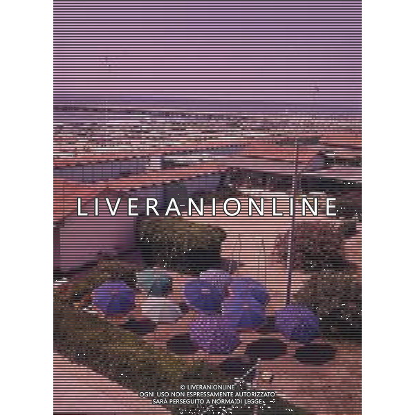 COL- TOSCANA FORTE DEI MARMI LITORALE AG ALDO LIVERANI SAS