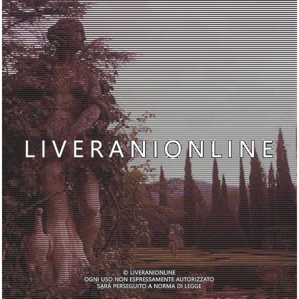 COL-TOSCANA- GREVE IN CHIANTI AG ALDO LIVERANI SAS