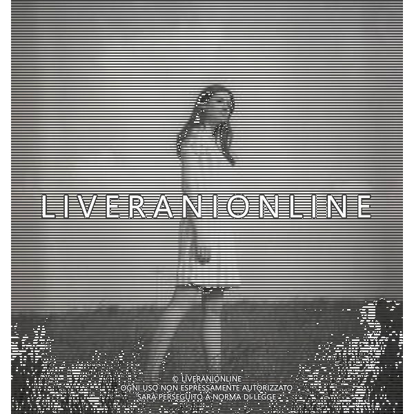 NEG-RETROSPETTIVA GIGLIOLA CINQUETTI CANTANTE NELLA FOTO GIGLIOLA CINQUETTI A CERRO VERONESE NELL\'ANNO 1967 AG ALDO LIVERANI SAS  