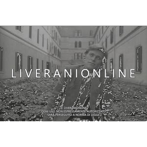 neg-RETROSPETTIVA WILLEM DAFOE ATTORE NRLLA FOTO WILLEM DAFOE A VENEZIA NELL\'ANNO 1988 AG ALDO LIVERANI SAS 
