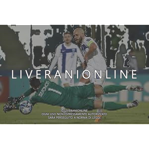 ZCP - 20/11/2023 - UEFA Qualificazioni Europee del gruppo H - San Marino vs Finlandia - nella foto: goal pukki teemu ©Claudio Zamagni/Agenzia Aldo Liverani s.a.s. /AGENZIA ALDO LIVERANI SAS