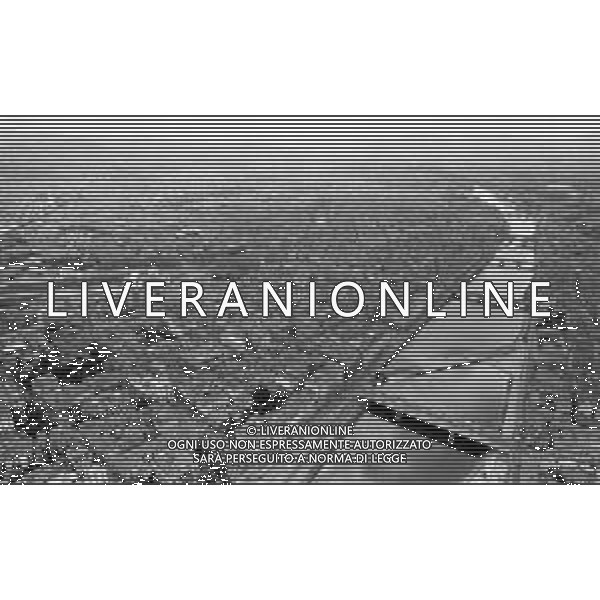 Neg- RETROSPETTIVA CITTA\' DI FIRENZE NELLA FOTO VEDUTA AEREA PANORAMICA NELL\'ANNO 1985 AG ALDO LIVERANI SAS