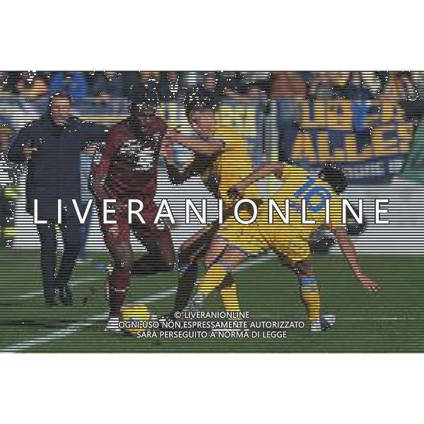 Frosinone vs Torino - Campionato Serie A TIM - 15 giornata - Stadio B.Stirpe - Frosinone 10-12-2023 nella foto Zapata e Monterisi ©Federico Gaetano / AGENZIA ALDO LIVERANI SAS