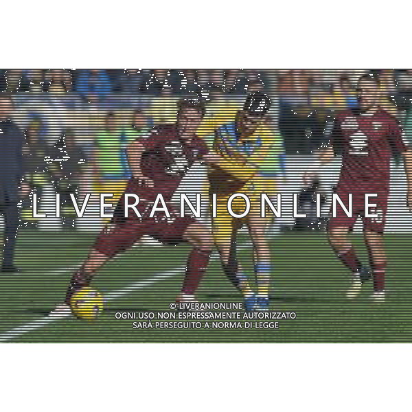Frosinone vs Torino - Campionato Serie A TIM - 15 giornata - Stadio B.Stirpe - Frosinone 10-12-2023 nella foto Vojvoda e Soulè ©Federico Gaetano / AGENZIA ALDO LIVERANI SAS