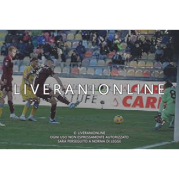 Frosinone vs Torino - Campionato Serie A TIM - 15 giornata - Stadio B.Stirpe - Frosinone 10-12-2023 nella foto Gol annullato a Buongiorno FOTO FEDERICO GAETANO-AG ALDO LIVERANI SAS