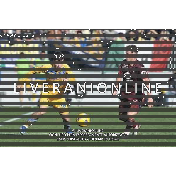 Frosinone vs Torino - Campionato Serie A TIM - 15 giornata - Stadio B.Stirpe - Frosinone 10-12-2023 nella foto Soulè e Vojvoda ©Federico Gaetano / AGENZIA ALDO LIVERANI SAS