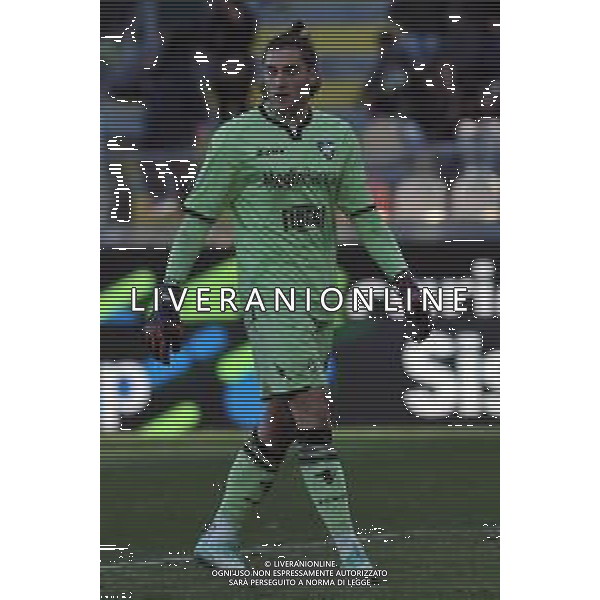 Frosinone vs Torino - Campionato Serie A TIM - 15 giornata - Stadio B.Stirpe - Frosinone 10-12-2023 nella foto Stefano Turati foto federico gaetano -ag aldo liverani sas