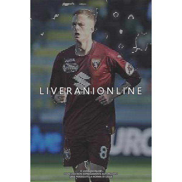 Frosinone vs Torino - Campionato Serie A TIM - 15 giornata - Stadio B.Stirpe - Frosinone 10-12-2023 nella foto Ivan Ilic foto federico gaetano -ag aldo liverani sas