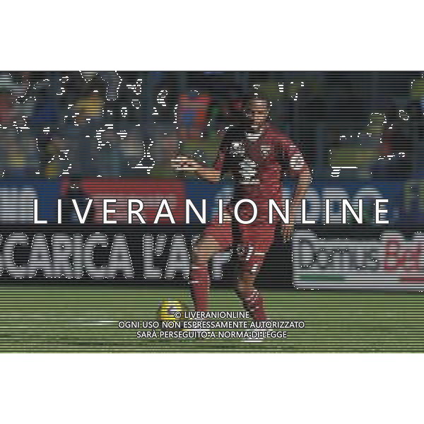 Frosinone vs Torino - Campionato Serie A TIM - 15 giornata - Stadio B.Stirpe - Frosinone 10-12-2023 nella foto Adrien Tameze foto federico gaetano -ag aldo liverani sas