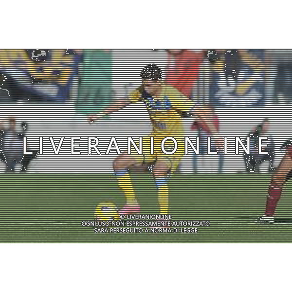 Frosinone vs Torino - Campionato Serie A TIM - 15 giornata - Stadio B.Stirpe - Frosinone 10-12-2023 nella foto Giuseppe Caso foto federico gaetano -ag aldo liverani sas